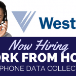Westat Review: Work from Home as a Telephone Data Collector