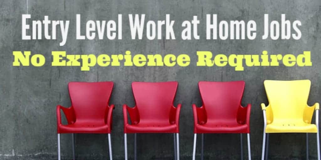 Read more about the article How To Find Entry Level Work from Home Jobs – No Experience Required!