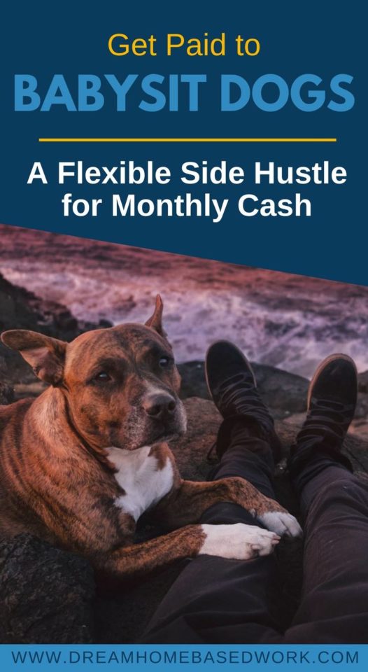 Have a love for animals? Consider dog sitting jobs as a profitable side hustle and earn money doing what you love. Here's how to get started!